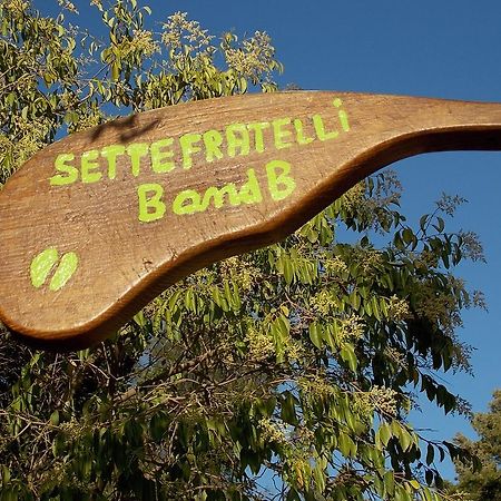 B&B Sette Fratelli San Gregorio  Ngoại thất bức ảnh