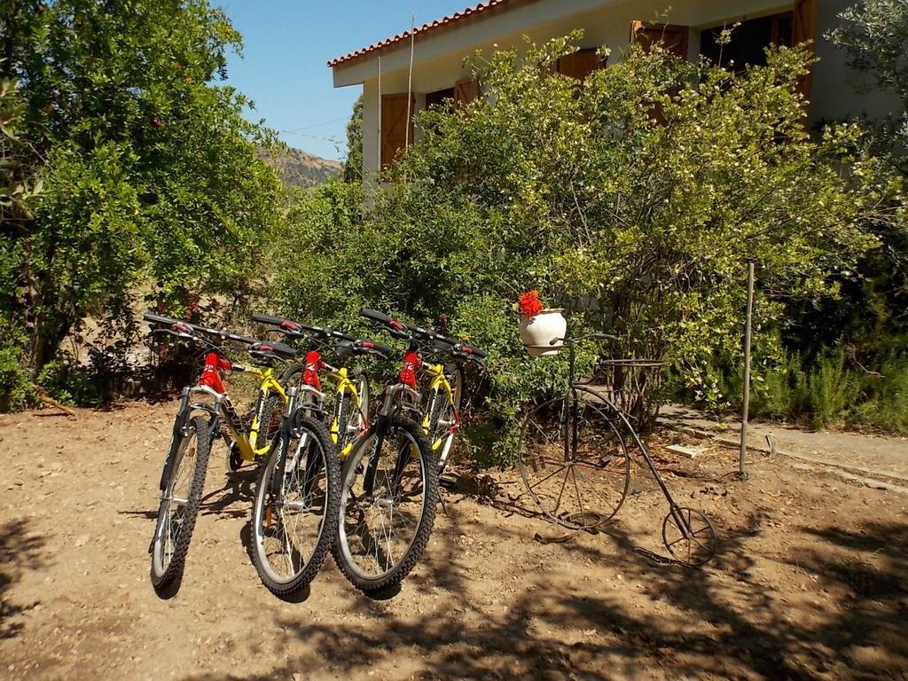 B&B Sette Fratelli San Gregorio  Ngoại thất bức ảnh