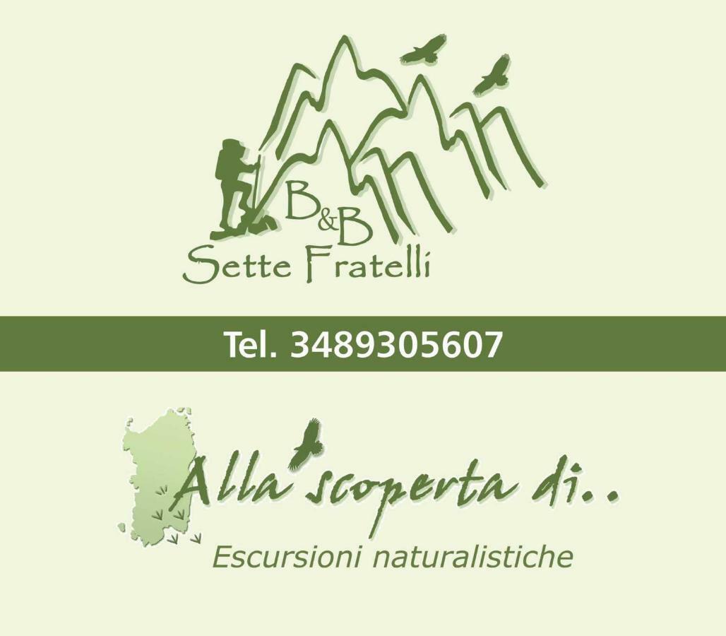 B&B Sette Fratelli San Gregorio  Ngoại thất bức ảnh